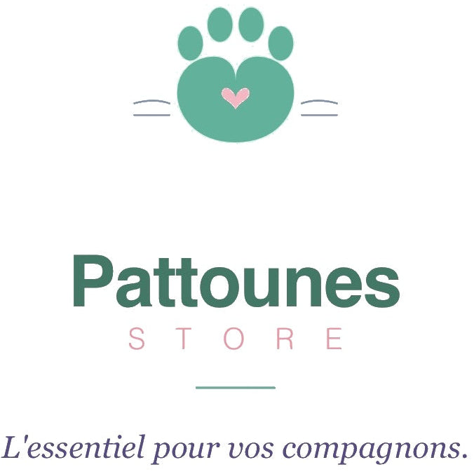 pattounes store